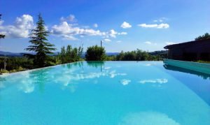 Batin Mumcu - www.berlinerweinpilot.de