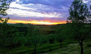 Batin Mumcu - www.berlinerweinpilot.de