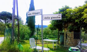 Batin Mumcu - www.berlinerweinpilot.de