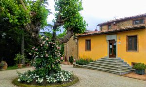 Batin Mumcu - www.berlinerweinpilot.de