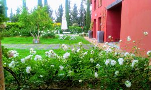 Batin Mumcu - www.berlinerweinpilot.de