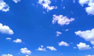 Batin Mumcu - www.berlinerweinpilot.de