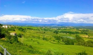 Batin Mumcu - www.berlinerweinpilot.de