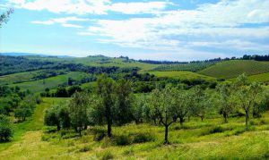 Batin Mumcu - www.berlinerweinpilot.de