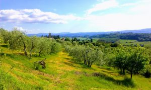 Batin Mumcu - www.berlinerweinpilot.de