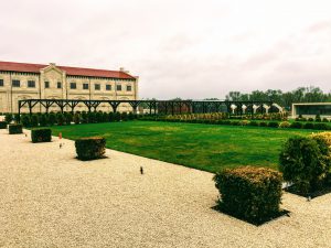 Batin Mumcu - www.berlinerweinpilot.de