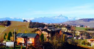 Interview_Michael Baur_Babarolo