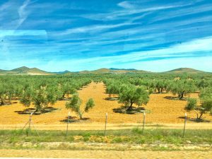 Batin Mumcu - www.berlinerweinpilot.de