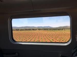 Batin Mumcu - www.berlinerweinpilot.de