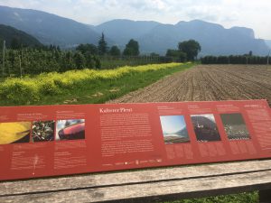 Batin Mumcu - www.berlinerweinpilot.de