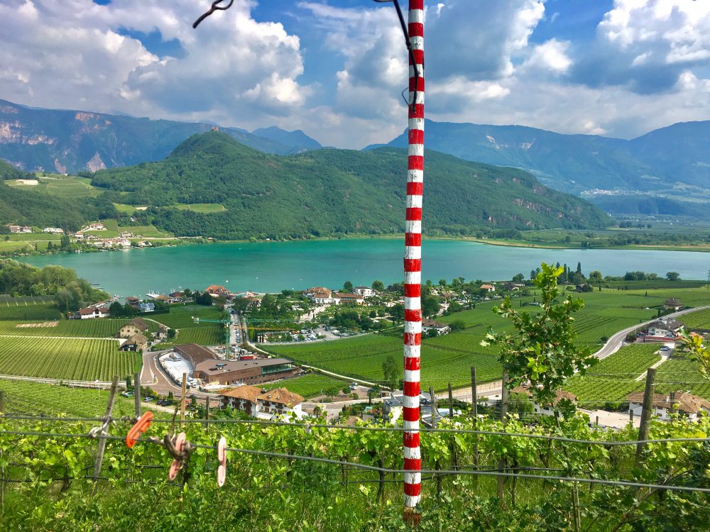 Batin Mumcu - www.berlinerweinpilot.de