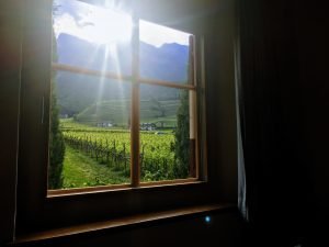 Batin Mumcu - www.berlinerweinpilot.de