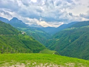 Batin Mumcu - www.berlinerweinpilot.de