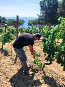 Batin Mumcu - www.berlinerweinpilot.de