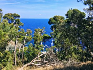 Batin Mumcu - www.berlinerweinpilot.d