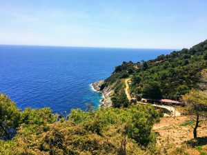 Batin Mumcu - www.berlinerweinpilot.d