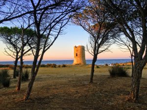 Batin Mumcu - www.berlinerweinpilot.de