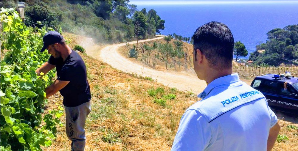 Batin Mumcu - www.berlinerweinpilot.de