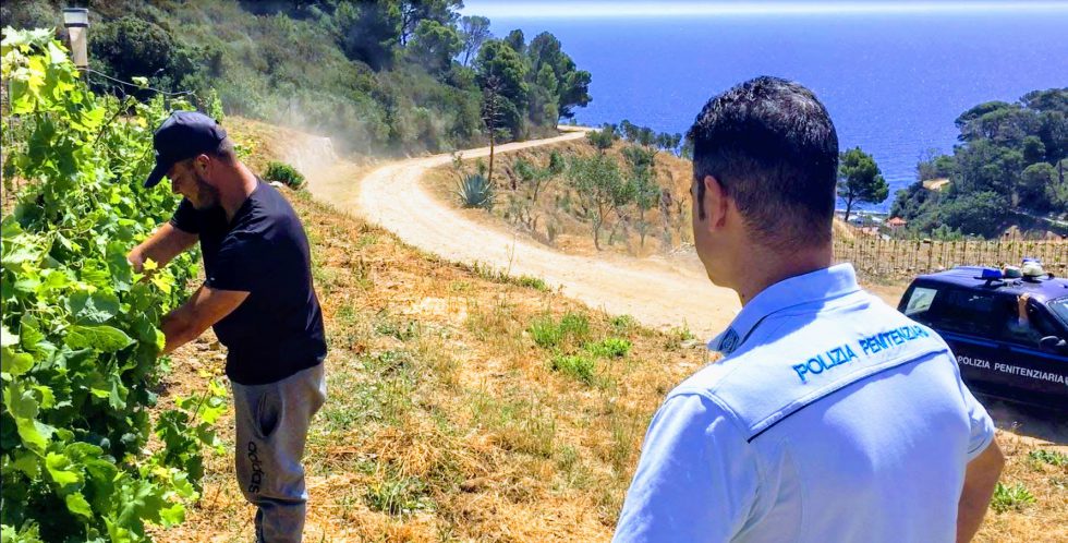 Batin Mumcu - www.berlinerweinpilot.de