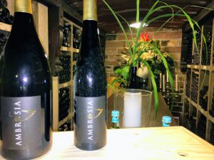 Batin Mumcu - www.berlinerweinpilot.de