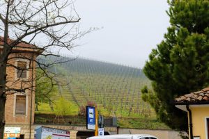 Langhe Reisebericht