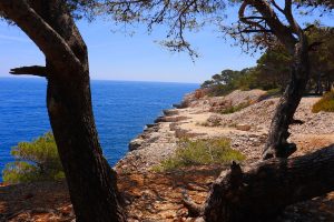 Calanques de Cassis