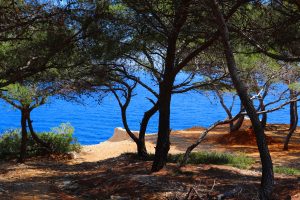 Calanques de Cassis