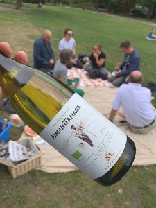 Weinpicknick im Park
