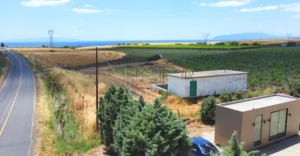 BW_Barel Vineyards_Blog