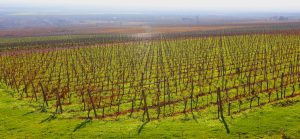 Dealu Mare_Rumänien