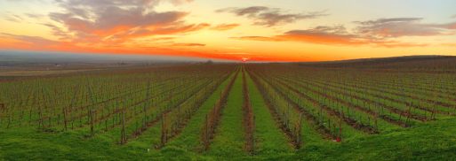 Dealu Mare_Rumänien