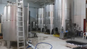 BW_Barel Vineyards_Blog