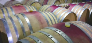 BW_Barel Vineyards_Blog