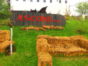 Asconi Winery Moldawien_BW