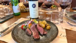 Bolgheri_Weinpilot Artikel