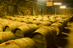 Cognac Frapin_BW_Blog