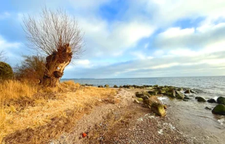 Wellness Insel Rügen