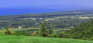 Bolgheri_Weinpilot Artikel