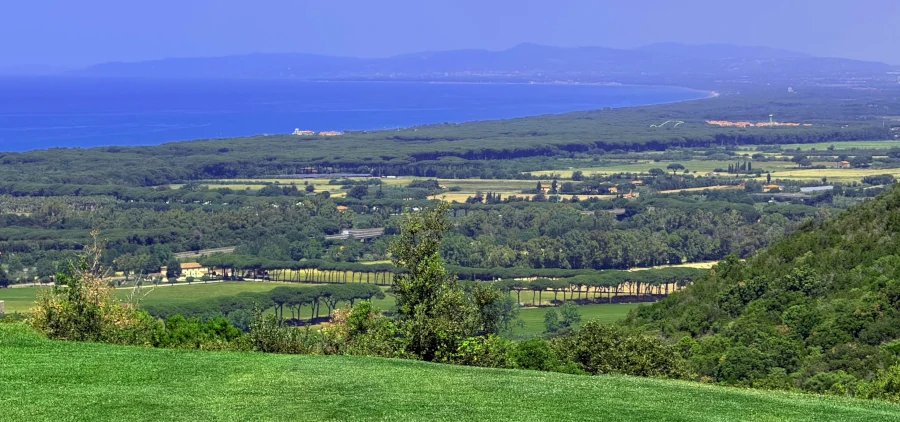 Bolgheri_Weintourismus_Weinpilot