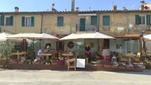 Bolgheri_Weinpilot Artikel