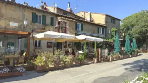 Bolgheri_Weinpilot Artikel