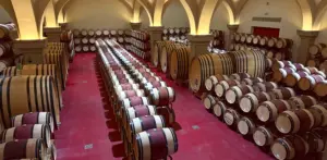 Bolgheri_Weinpilot Artikel