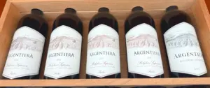 Bolgheri_Weinpilot Artikel
