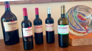 Bolgheri_Weinpilot Artikel