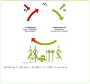 01_Weingut Klenert_BW