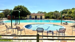 Bolgheri_Weinpilot Artikel
