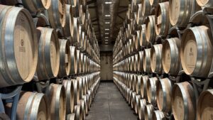 Bolgheri_Weinpilot Artikel