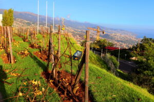 Madeira Top Lodges_BW_Blog
