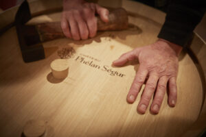 Cháteau Phélan Ségur