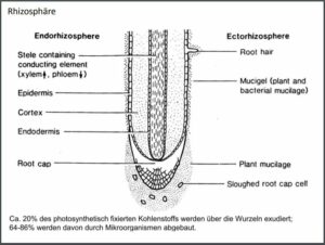 01_Weingut Klenert_BW